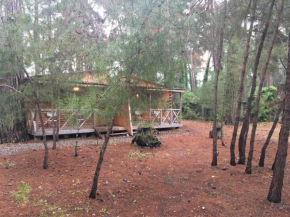 Cottages on Gosdacha